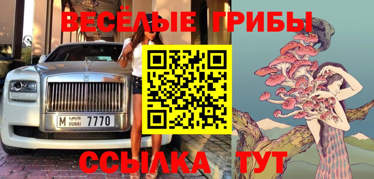 Псилоцибиновые грибы GOLDEN TEACHER Михайловка