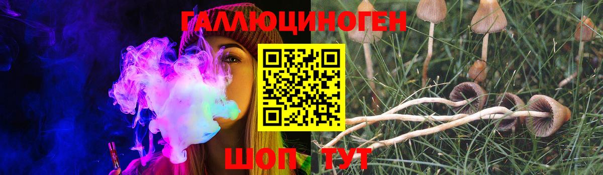 Михайловка  Галлюциногенные грибы Magic Shrooms  Вход с VPN  Псилоцибиновые грибы GOLDEN TEACHER 